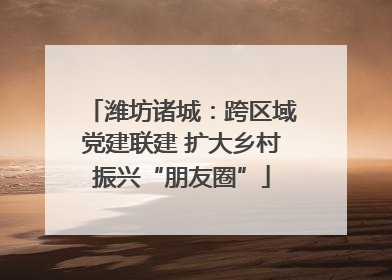 潍坊诸城：跨区域党建联建 扩大乡村振兴“朋友圈”