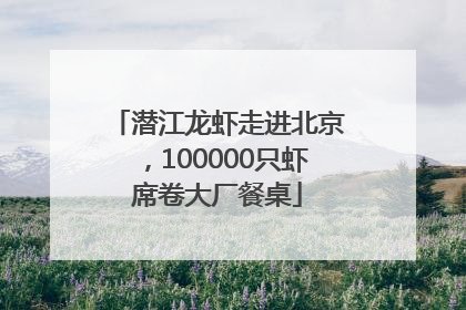 潜江龙虾走进北京，100000只虾席卷大厂餐桌