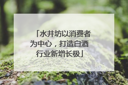 水井坊以消费者为中心，打造白酒行业新增长极