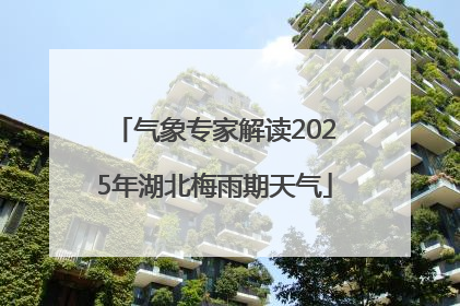 气象专家解读2025年湖北梅雨期天气