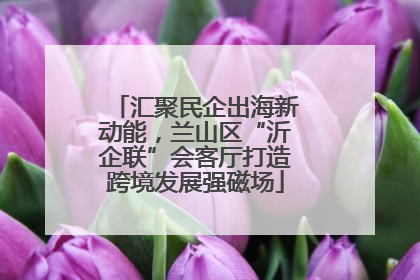 汇聚民企出海新动能，兰山区“沂企联”会客厅打造跨境发展强磁场