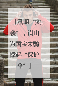 汛期“突袭”，崀山为国宝朱鹮撑起“保护伞”