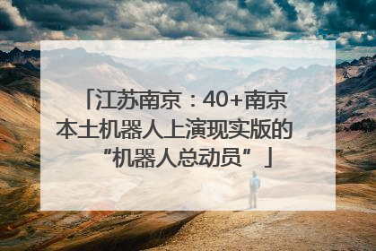 江苏南京：40+南京本土机器人上演现实版的“机器人总动员”