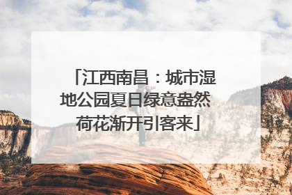 江西南昌：城市湿地公园夏日绿意盎然 荷花渐开引客来
