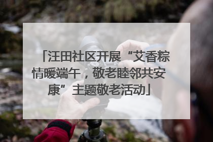 汪田社区开展“艾香粽情暖端午，敬老睦邻共安康”主题敬老活动