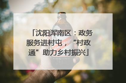 沈阳浑南区：政务服务进村屯，“村政通”助力乡村振兴