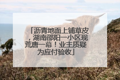 沥青地面上铺草皮，湖南邵阳一小区现荒唐一幕！业主质疑为应付验收