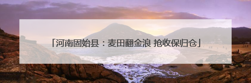 河南固始县：麦田翻金浪 抢收保归仓