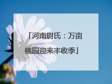 河南尉氏：万亩桃园迎来丰收季