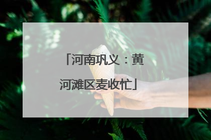 河南巩义：黄河滩区麦收忙