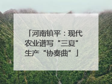 河南镇平：现代农业谱写“三夏”生产“协奏曲”