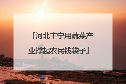 河北丰宁用蔬菜产业撑起农民钱袋子
