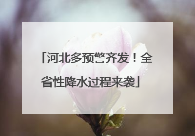 河北多预警齐发！全省性降水过程来袭
