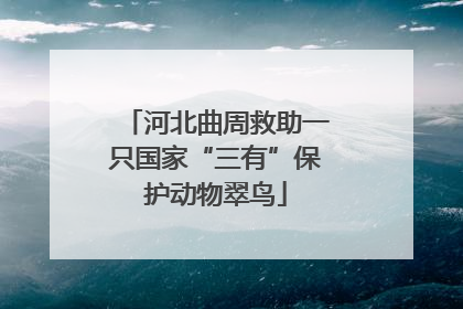 河北曲周救助一只国家“三有”保护动物翠鸟