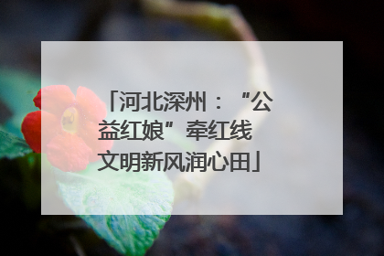河北深州：“公益红娘”牵红线 文明新风润心田