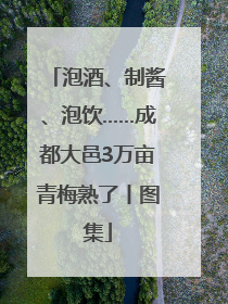 泡酒、制酱、泡饮……成都大邑3万亩青梅熟了丨图集
