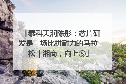泰科天润陈彤：芯片研发是一场比拼耐力的马拉松｜湘商，向上⑤