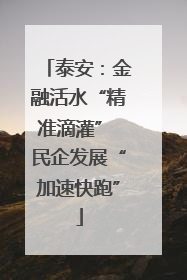 泰安：金融活水“精准滴灌” 民企发展“加速快跑”