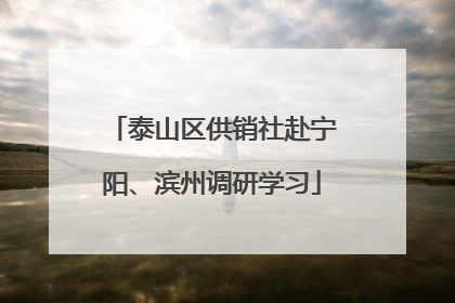 泰山区供销社赴宁阳、滨州调研学习