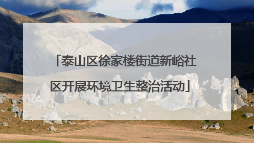 泰山区徐家楼街道新峪社区开展环境卫生整治活动
