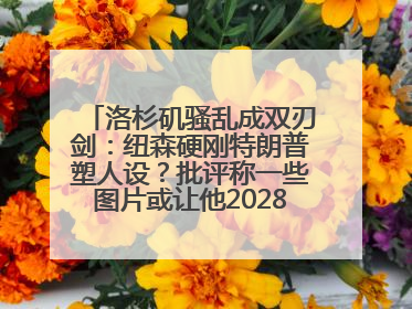 洛杉矶骚乱成双刃剑：纽森硬刚特朗普塑人设？批评称一些图片或让他2028总统梦碎