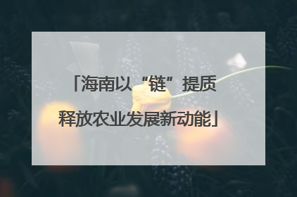 海南以“链”提质 释放农业发展新动能