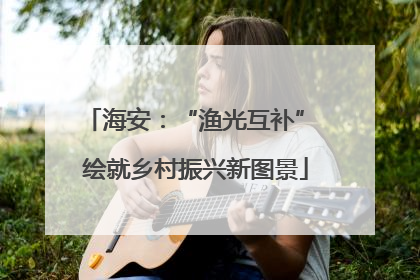 海安：“渔光互补” 绘就乡村振兴新图景