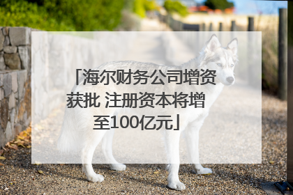 海尔财务公司增资获批 注册资本将增至100亿元