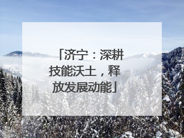 济宁：深耕技能沃土，释放发展动能