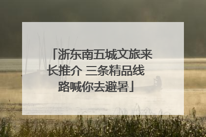 浙东南五城文旅来长推介 三条精品线路喊你去避暑