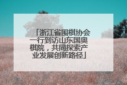 浙江省围棋协会一行到访山东国奥棋院，共同探索产业发展创新路径