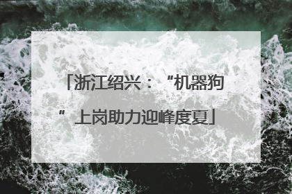 浙江绍兴：“机器狗”上岗助力迎峰度夏