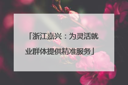浙江嘉兴：为灵活就业群体提供精准服务