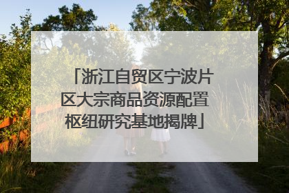 浙江自贸区宁波片区大宗商品资源配置枢纽研究基地揭牌