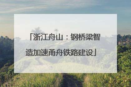 浙江舟山：钢桥梁智造加速甬舟铁路建设