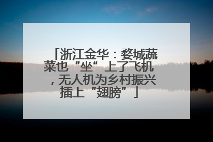 浙江金华：婺城蔬菜也“坐”上了飞机，无人机为乡村振兴插上“翅膀”