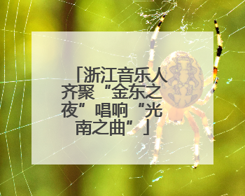 浙江音乐人齐聚“金东之夜”唱响“光南之曲”