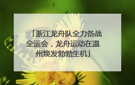 浙江龙舟队全力备战全运会，龙舟运动在温州焕发勃勃生机