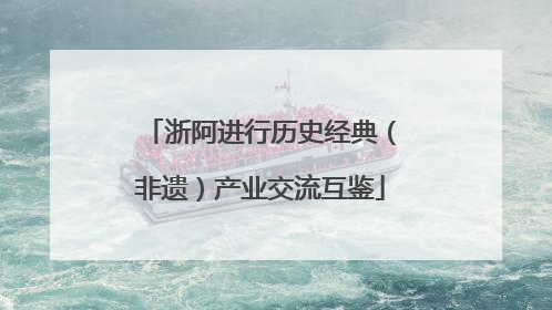 浙阿进行历史经典（非遗）产业交流互鉴