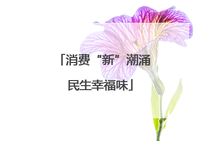 消费“新”潮涌 民生幸福味