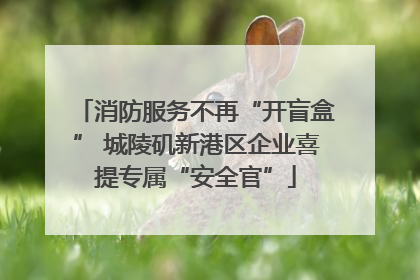 消防服务不再“开盲盒” 城陵矶新港区企业喜提专属“安全官”