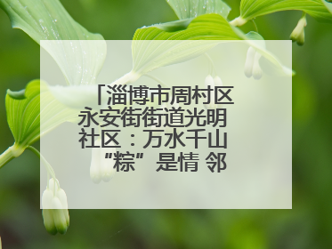 淄博市周村区永安街街道光明社区：万水千山“粽”是情 邻里欢聚迎端午
