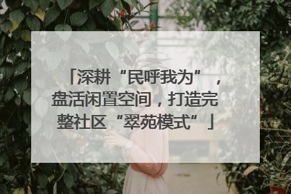 深耕“民呼我为”，盘活闲置空间，打造完整社区“翠苑模式”