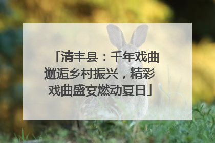 清丰县：千年戏曲邂逅乡村振兴，精彩戏曲盛宴燃动夏日