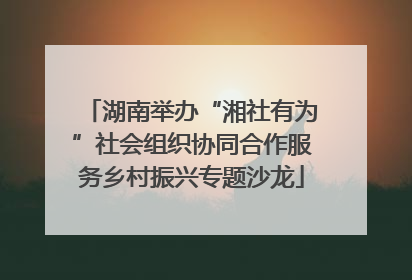 湖南举办“湘社有为”社会组织协同合作服务乡村振兴专题沙龙