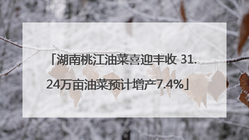 湖南桃江油菜喜迎丰收 31.24万亩油菜预计增产7.4%