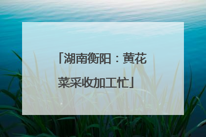 湖南衡阳：黄花菜采收加工忙