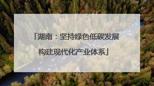 湖南：坚持绿色低碳发展 构建现代化产业体系