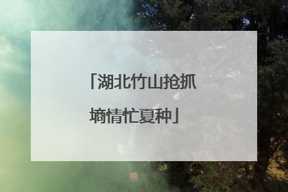 湖北竹山抢抓墒情忙夏种