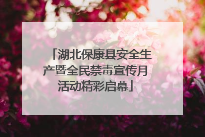 湖北保康县安全生产暨全民禁毒宣传月活动精彩启幕